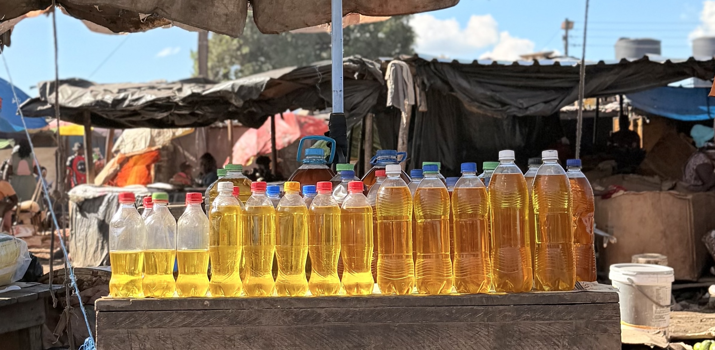 Turning Rights Into Reality: Makanry Investments is Empowering Women Across the Soya Beans Value Chain