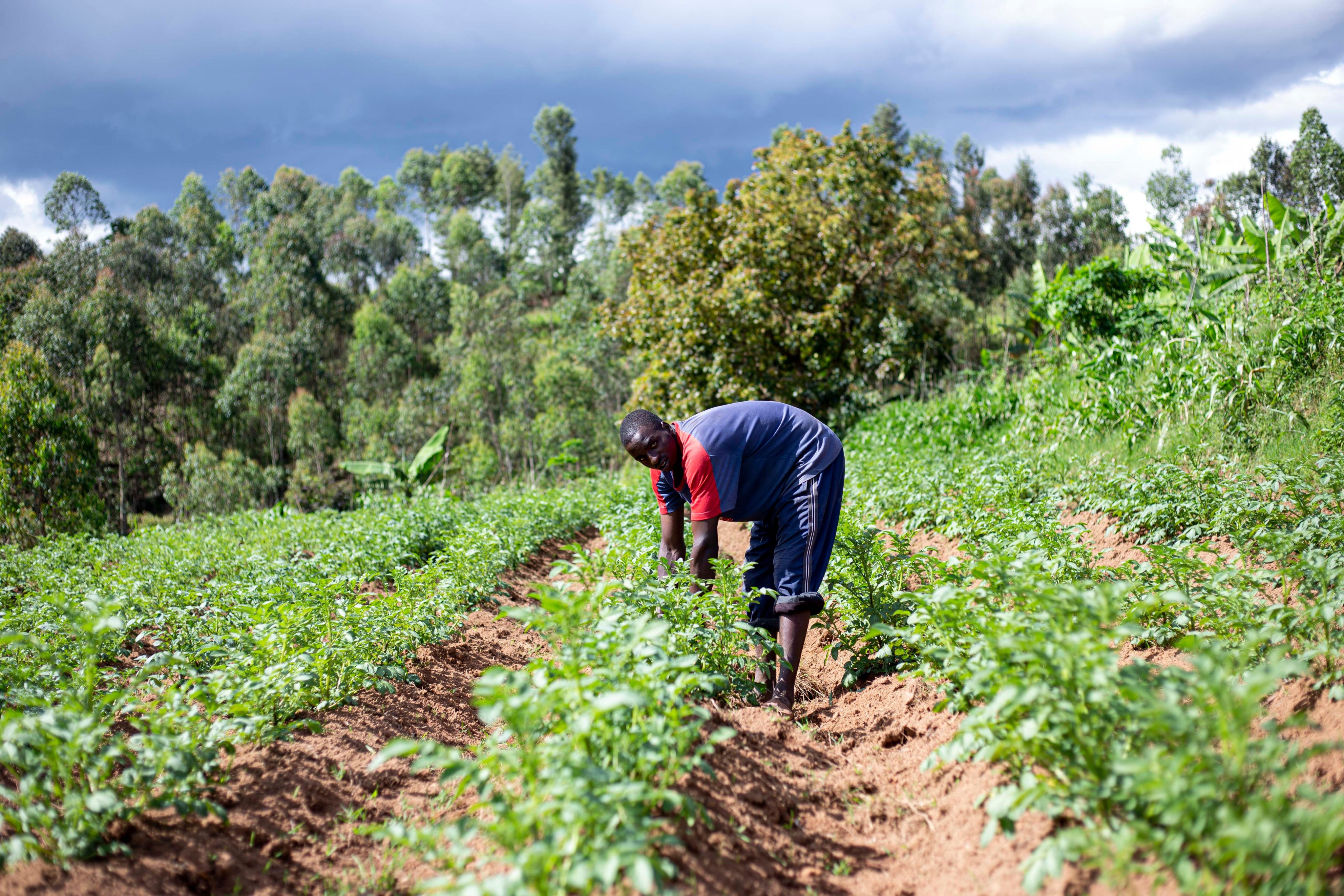 Different contexts. Common Aspirations. :Rural Youth Reimagining Zimbabwe’s Future